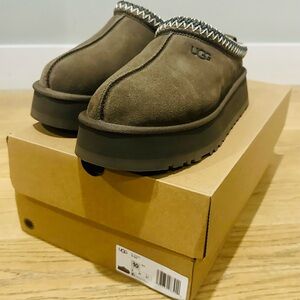 UGG Tazz Brown Suede